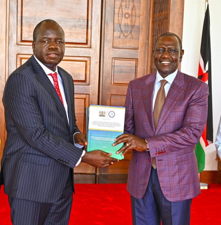 Ruto receives IEBC nominees report from selection panel