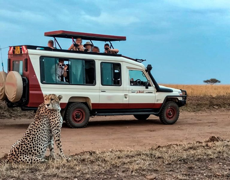 Africa Travel cleared to acquire Pollman’s Tours in Kenya